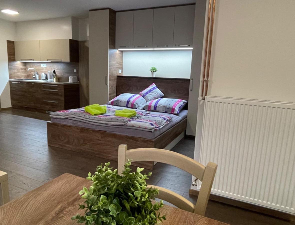 Apartment Wellness Vlckova Eksteriør bilde